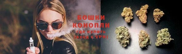 прущие крисы Абаза