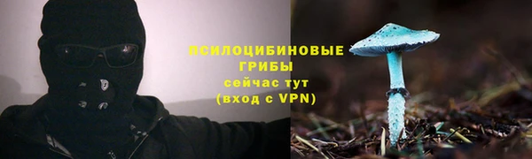 ПСИЛОЦИБИНОВЫЕ ГРИБЫ Абдулино
