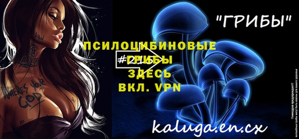 ПСИЛОЦИБИНОВЫЕ ГРИБЫ Абдулино